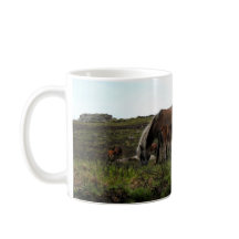 Dartmoor Wild Ponies