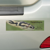 DARWIN2, Herpetologen, doe het in de zomer Bumpersticker (Op auto)