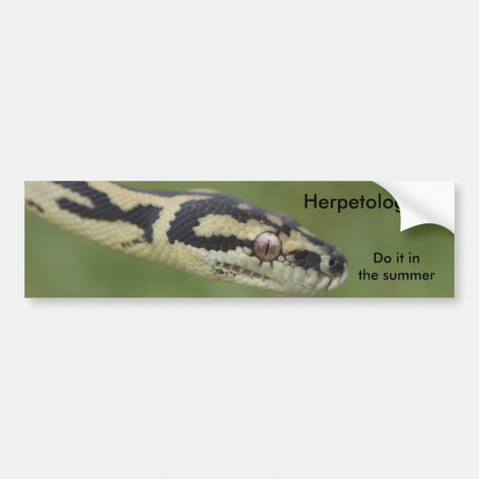 DARWIN2, Herpetologen, doe het in de zomer Bumpersticker (Voorkant)