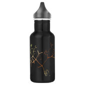 darwin , boom van het leven , denk ik waterfles  (Links)