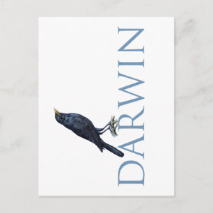 Darwin Briefkaart