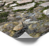 Darwin Canyon Lower Lake - Sierra Poster (Hoek)
