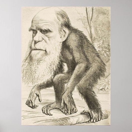 DARWIN Charles Robert Darwin 1871 carica Poster (Voorkant)