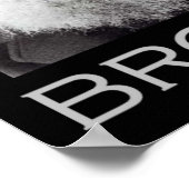 Darwin en Chimp Brothers Poster (Hoek)