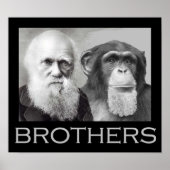 Darwin en Chimp Brothers Poster (Voorkant)