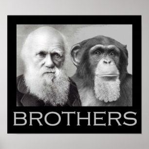 Darwin en Chimp Brothers Poster