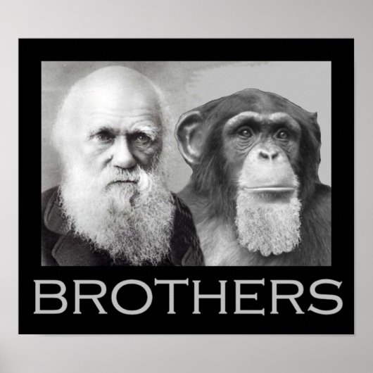 Darwin en Chimp Brothers Poster (Voorkant)