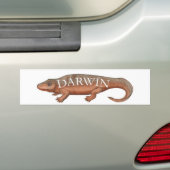Darwin Evolution Tetrapod Bumpersticker (Op auto)