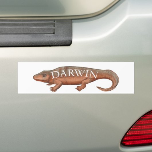 Darwin Evolution Tetrapod Bumpersticker (Op auto)