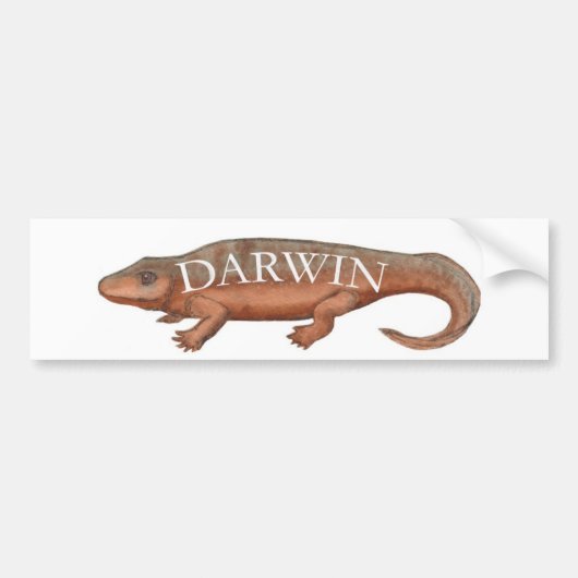 Darwin Evolution Tetrapod Bumpersticker (Voorkant)