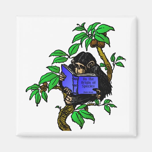 Darwin Fan Magneet (Voorkant)