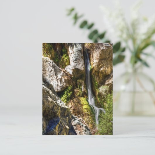 Darwin Herfsten Briefkaart (Staand voorkant)