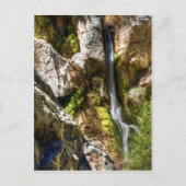 Darwin Herfsten Briefkaart (Voorkant)