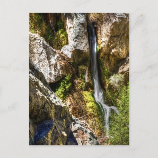 Darwin Herfsten Briefkaart (Voorkant)