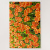 Darwin hybride tulp, tulipa "Oxford's Elite." Oran Legpuzzel (Verticaal)