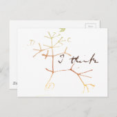 Darwin, ik denk een boom van het leven briefkaart (Voorkant / Achterkant)