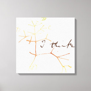 Darwin, ik denk een boom van het leven canvas afdruk