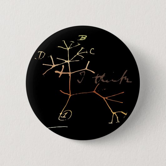 Darwin, ik denk een boom van het leven ronde button 5,7 cm (Voorkant)