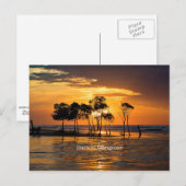 Darwin mangrove, Australië Briefkaart (Voorkant / Achterkant)