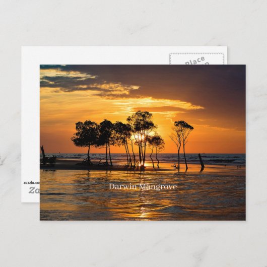 Darwin mangrove, Australië Briefkaart (Voorkant / Achterkant)