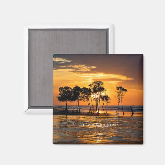 Darwin mangrove, Australië, Magneet (Voorkant / Achterkant)