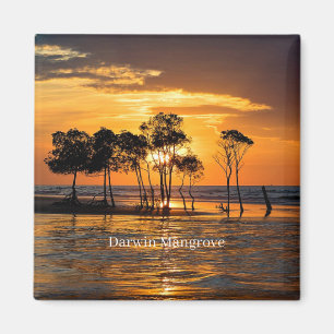 Darwin mangrove, Australië, Magneet