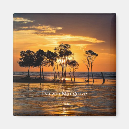 Darwin mangrove, Australië, Magneet (Voorkant)