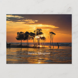 Darwin Mangrove Briefkaart