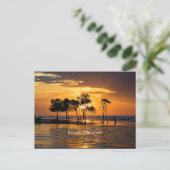 Darwin Mangrove Briefkaart (Staand voorkant)