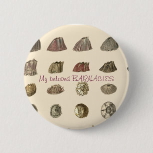 Darwin-monografie-eendenmosselen, Mijn geliefde EE Ronde Button 5,7 Cm
