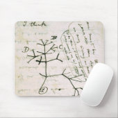 darwin muismat (Met muis)