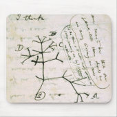 darwin muismat (Voorkant)