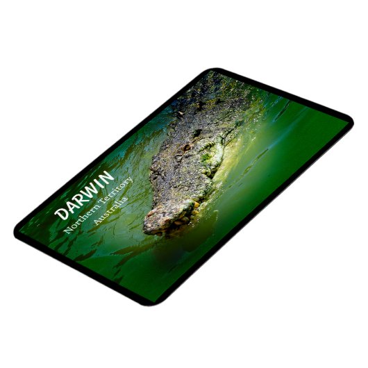 Darwin Noordelijk Territorium Zoutwater Krokodil Magneet (Linkerzijde)