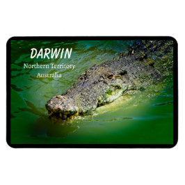 Darwin Noordelijk Territorium Zoutwater Krokodil Magneet
