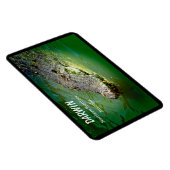 Darwin Noordelijk Territorium Zoutwater Krokodil Magneet (Rechterzijde)