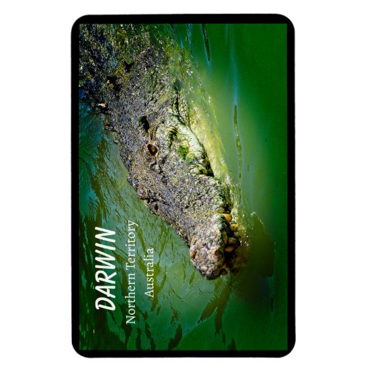 Darwin Noordelijk Territorium Zoutwater Krokodil Magneet (Verticaal)