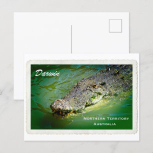Darwin Northern Territory - Crocodile Briefkaart
