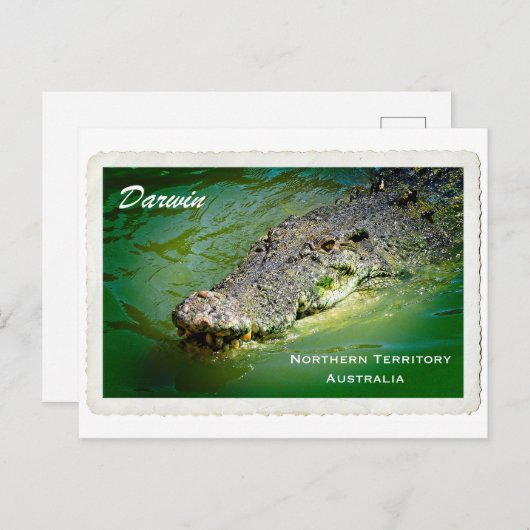 Darwin Northern Territory - Crocodile Briefkaart (Voorkant / Achterkant)