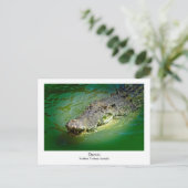 Darwin Northern Territory - Crocodile Briefkaart (Staand voorkant)