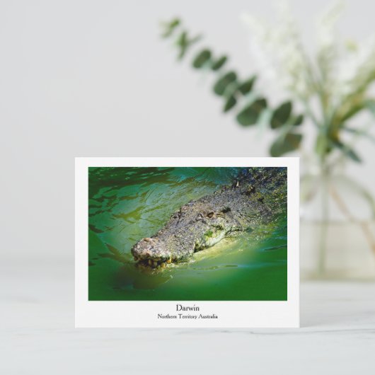 Darwin Northern Territory - Crocodile Briefkaart (Staand voorkant)