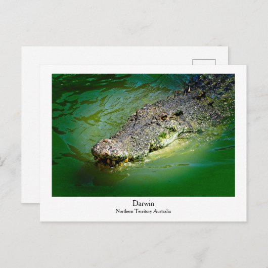 Darwin Northern Territory - Crocodile Briefkaart (Voorkant / Achterkant)