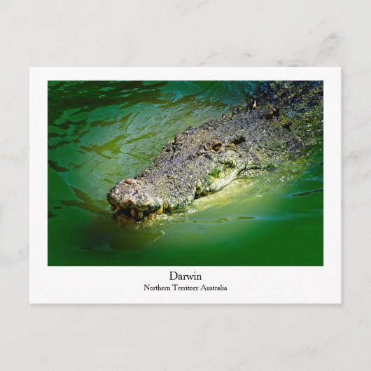 Darwin Northern Territory - Crocodile Briefkaart (Voorkant)