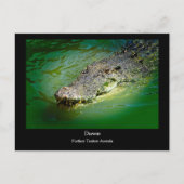 Darwin Northern Territory - Crocodile Briefkaart (Voorkant)
