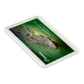 Darwin Northern Territory - Crocodile Magnet Magneet (Rechterzijde)