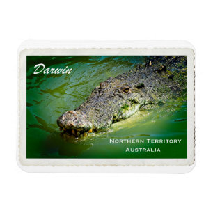 Darwin Northern Territory - Crocodile Magnet Magneet