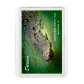 Darwin Northern Territory - Crocodile Magnet Magneet (Verticaal)