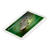 Darwin Northern Territory - Crocodile Magnet Magneet (Linkerzijde)