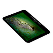 Darwin Northern Territory - Crocodile Magnet Magneet (Rechterzijde)