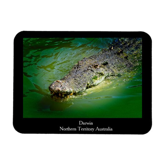 Darwin Northern Territory - Crocodile Magnet Magneet (Horizontaal)