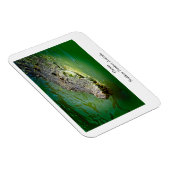 Darwin Northern Territory - Crocodile Magnet Magneet (Rechterzijde)